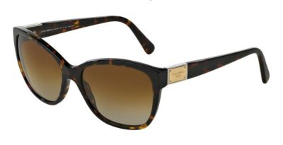 DOLCE & GABBANA LOGO PLAQUE DG4195 Havana / Brown Gradient Polarized