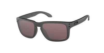 HOLBROOK Steel / Prizm Daily Polarized