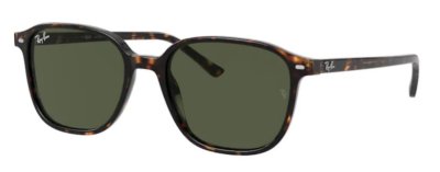 Ray-Ban RB2193 902/31 Leonard