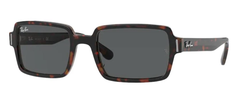 Ray-Ban RB2189 HAVANA ON TRANSPARENT BROWN Benji