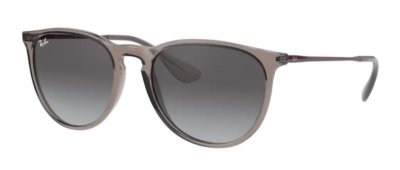 Ray-Ban RB4171 TRANSPARENT GREY Erika