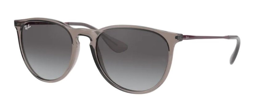 Ray-Ban RB4171 TRANSPARENT GREY Erika