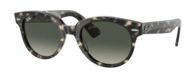 Ray-Ban RB2199 133371 Orion