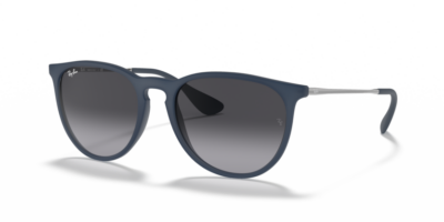 Ray-Ban RB4171 ERIKA Rubber black