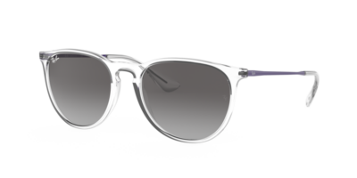 Ray-Ban RB4171 ERIKA Rubber black