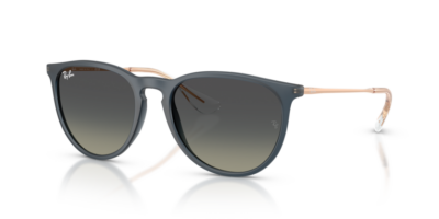 Ray-Ban RB4171 Gummi Blau Erika