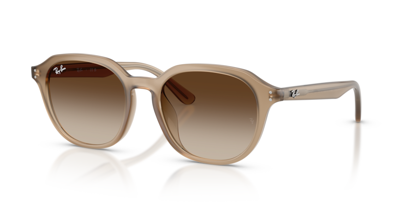 Ray-Ban RB4459D / Turtledove Ray-Ban RB4459D / Turtledove